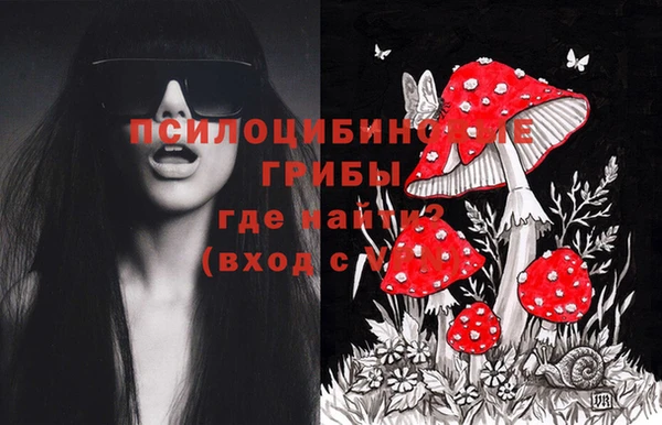 дурь Алексеевка