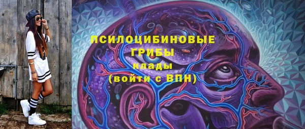 круглые Абаза