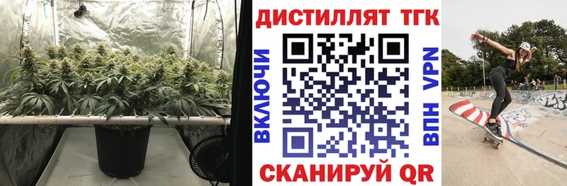 Дистиллят ТГК THC oil  omg как войти  Шебекино 