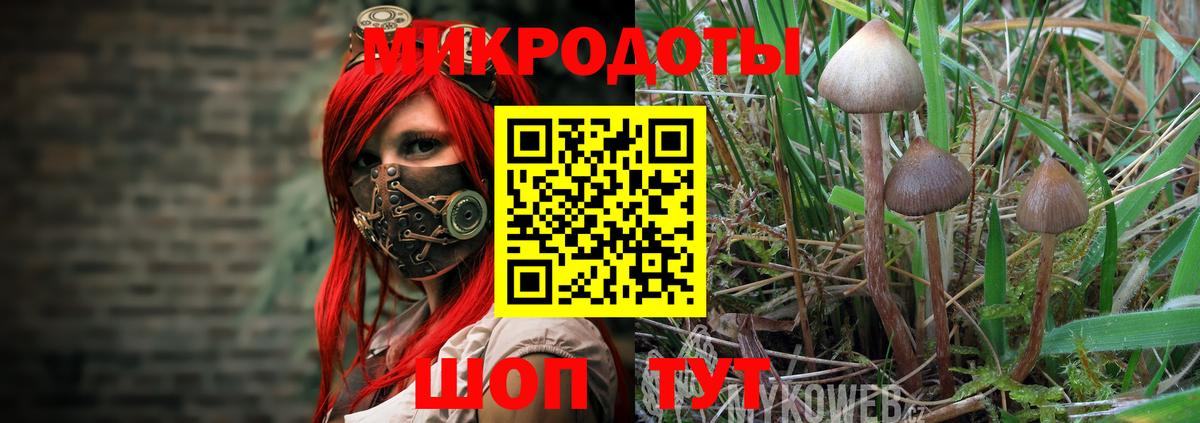 Галлюциногенные грибы Psilocybine cubensis  Вход с VPN  Галлюциногенные грибы Psilocybe  как найти   Шебекино 