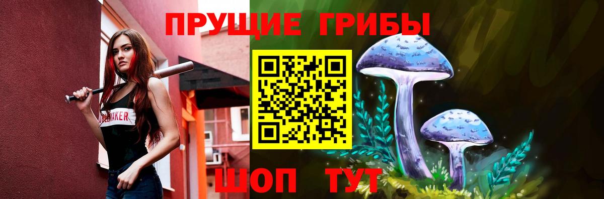 Псилоцибиновые грибы Cubensis Шебекино